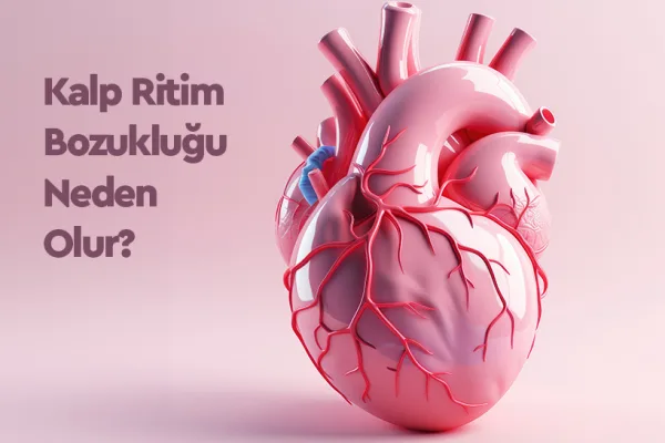 Kalp Ritim Bozukluğu Nedir, Belirtileri ve Tedavisi
