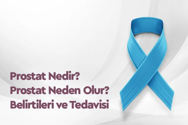 Prostat Nedir? Prostat Neden Olur? Belirtileri ve Tedavisi