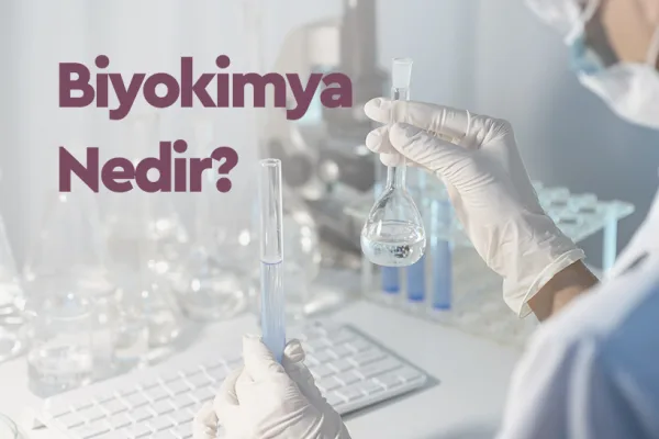 Biyokimya Nedir?