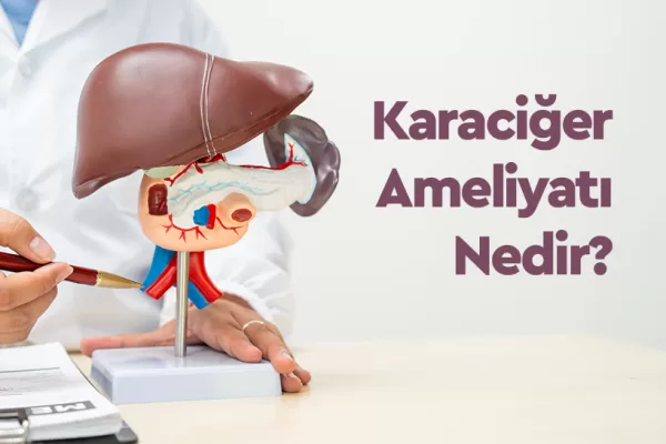 Karaciğer Ameliyatı Nedir? Karaciğer Ameliyatı Nasıl Yapılır? 2 Karaciğer Ameliyatı Nedir? Karaciğer Ameliyatı Nasıl Yapılır?