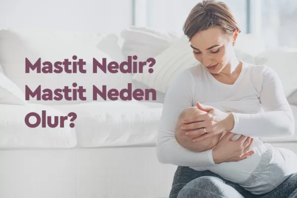 Mastit Nedir? Mastit Neden Olur? 1 Mastit Nedir? Mastit Neden Olur?